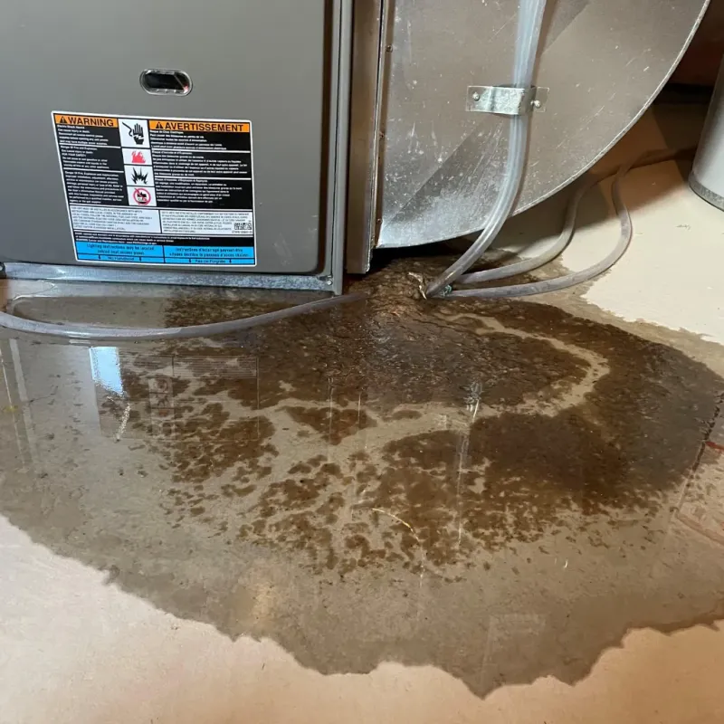 Appliance Leak Cleanup in Chesterfield, IN